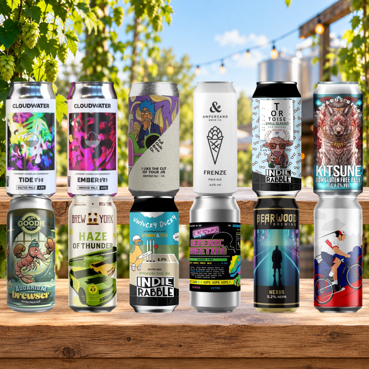 Pale Ale Mixed Box – 12 Different Beers