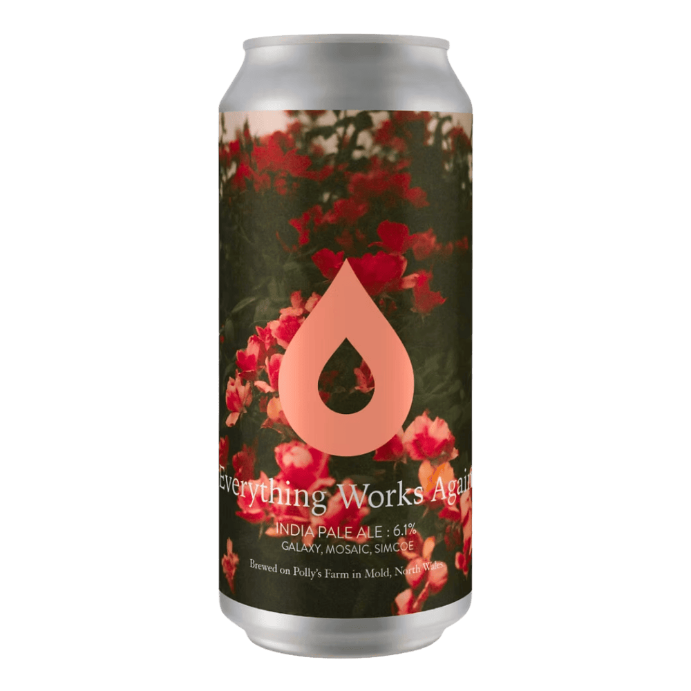 Polly’s Brew Co. Everything Works Again (IPA, 6.0%) 440ml Low Cost Beer