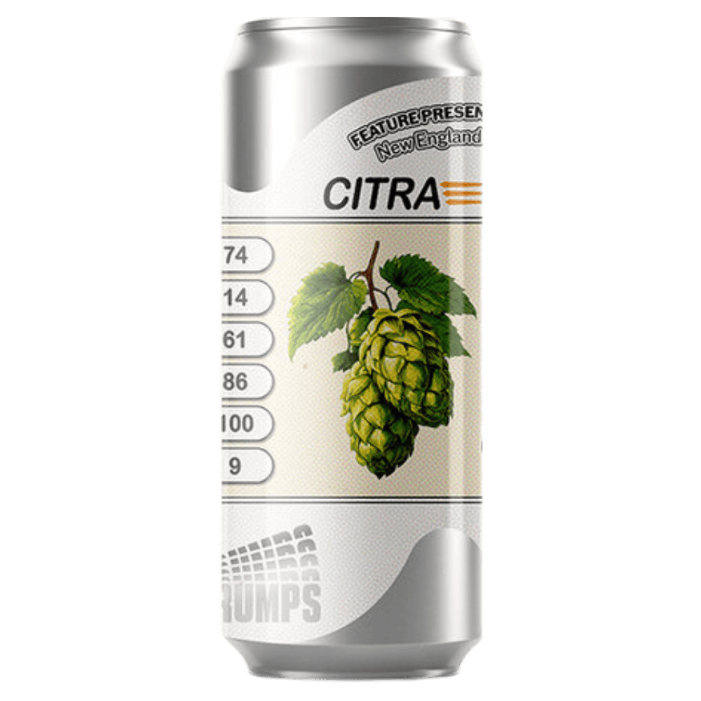 Sureshot Brewing Feature Presentation: Citra (IPA, 6.2%) 440ml Low Cost Beer