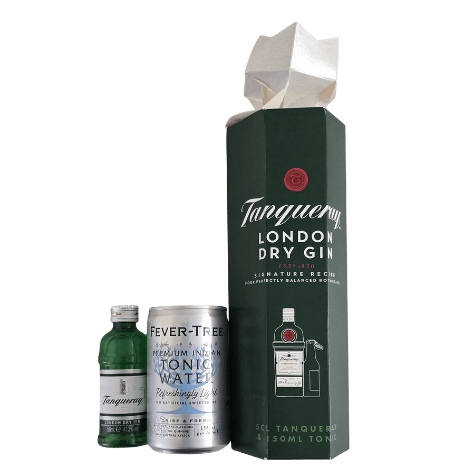 Tanqueray Gin & Tonic Mini Gift Set - LowCostBeer